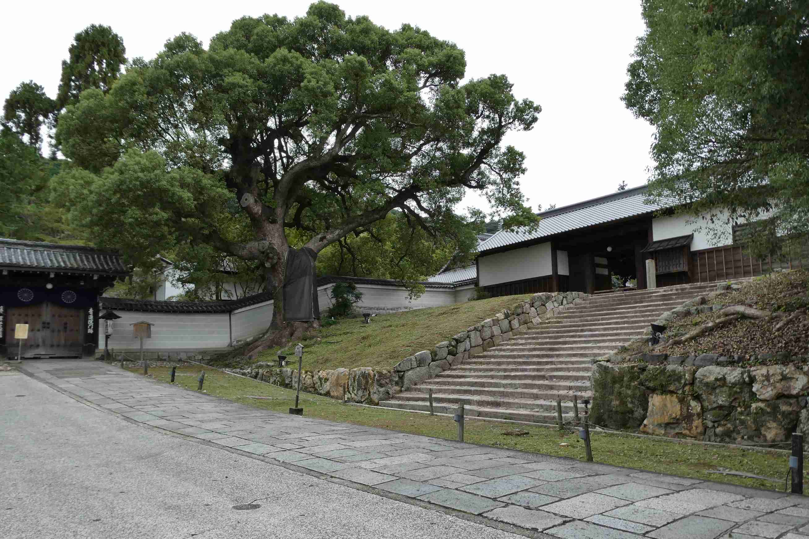 clickすれば大きな画像