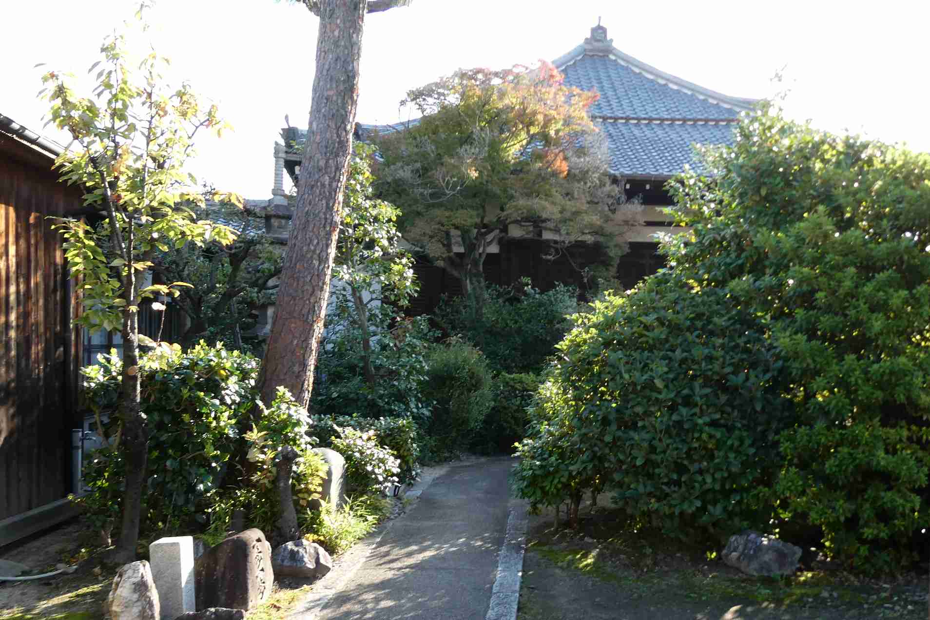 clickすれば大きな画像