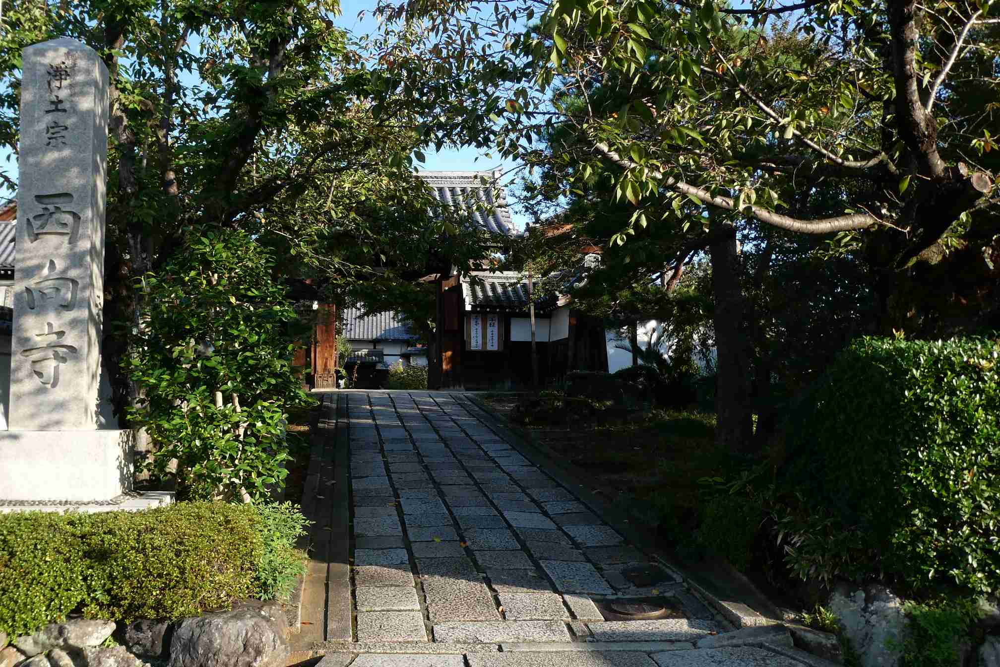 clickすれば大きな画像